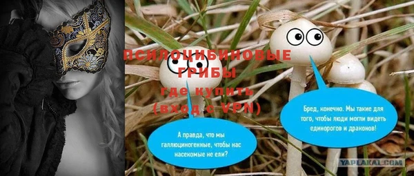 ПСИЛОЦИБИНОВЫЕ ГРИБЫ Елабуга