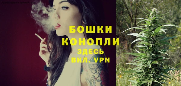 ПСИЛОЦИБИНОВЫЕ ГРИБЫ Елабуга