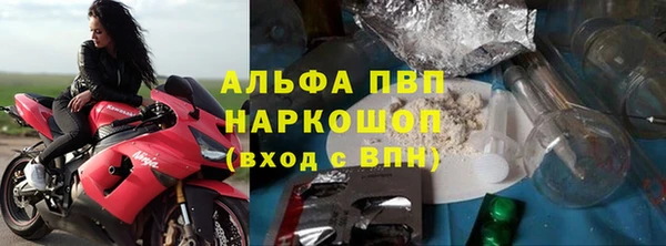 ПСИЛОЦИБИНОВЫЕ ГРИБЫ Елабуга